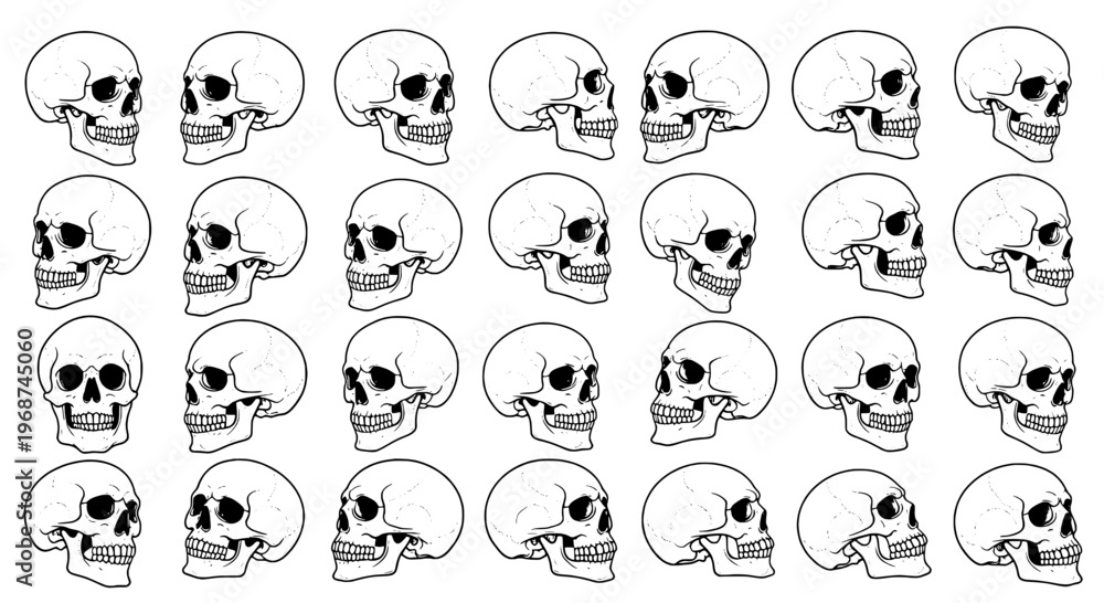 Fototapeta premium Skulls illustration set with multiple black and white human skulls facing right in rows and columns, detailed line art, various expressions
