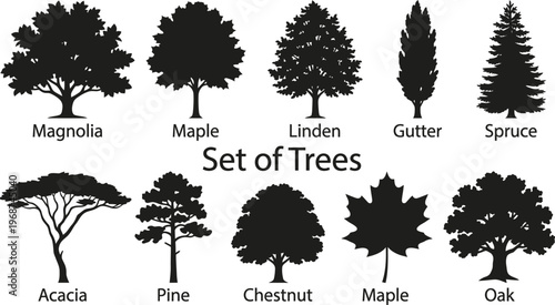 Set of Trees vector illustration with different species