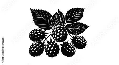 A detailed black silhouette depicts a cluster of ripe raspberries with lush leaves showcasing botanical artistry and form silhouette high quality