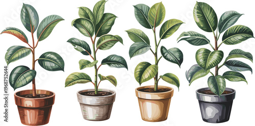 Potted green houseplants in terracotta and ceramic pots on wooden surface potted plants terracotta pots