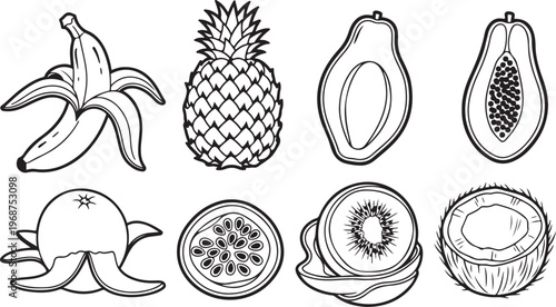 Antique decorative objects and art prints in black and white Vector