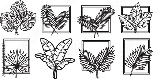 Detailed sketch illustrations of various seaweed species in black and white Vector