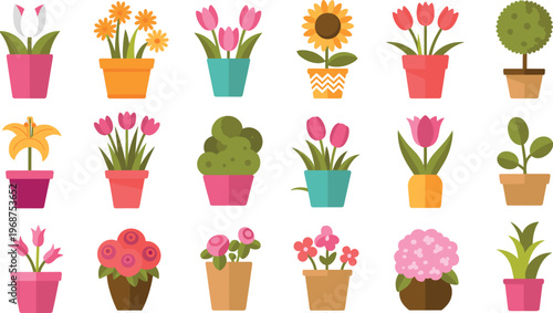 Vibrant potted flowers in various colors and styles arranged in rows pink flowers red flowers yellow flowers
