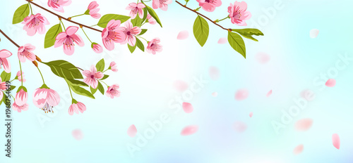 Pink cherry blossom flower branches, buds and leaves set, sakura illustration with petals, Japanese spring floral background for pattern and frame design.