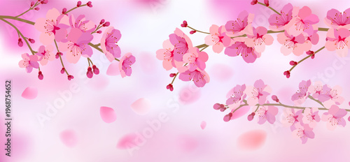 Pink cherry blossom flower branches, buds and leaves set, sakura illustration with petals, Japanese spring floral background for pattern and frame design.
