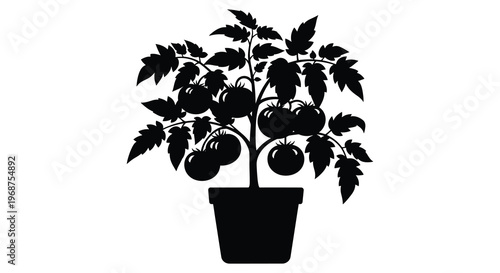 A striking black silhouette depicts a potted tomato plant with ripe fruit and lush foliage creating a bold image high quality