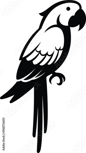 Obraz na płótnie Silhouette wild tropical parrot bird standing black white vector illustration