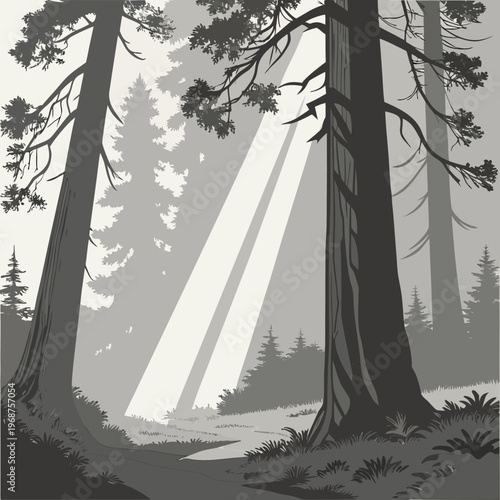 Rays of "God light" breaking through heavy redwood branches into a foggy clearing. 1