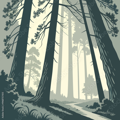 Rays of "God light" breaking through heavy redwood branches into a foggy clearing.