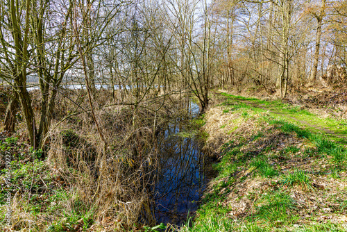 Konstfotografi Narrow stream between abundant wild vegetation, weeds, green grass and bare tree