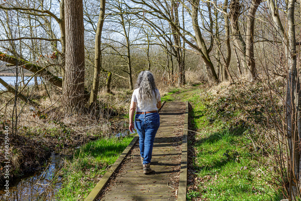 Fototapeta premium Adult woman walking on straight wooden walkway through marshy terrain between pools in Tosch-Langeren nature reserve, rear view, surrounded by bare trees, on a winter day in Maaseik, Belgium
