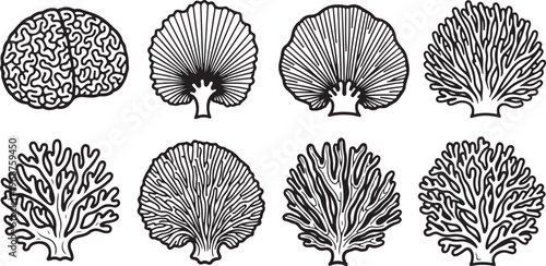 Various species of mushrooms with distinct cap patterns and gills Vector
