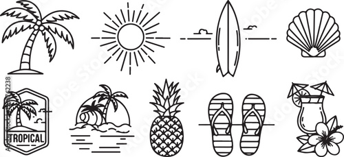 A collection of diverse plants and cacti in stylized illustrations Vector