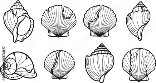 Diagram of various geometric shapes and their internal structures Vector