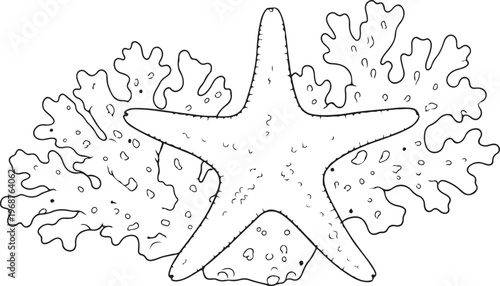 Hand-drawn map showing regions of europe with detailed borders and regions Vector