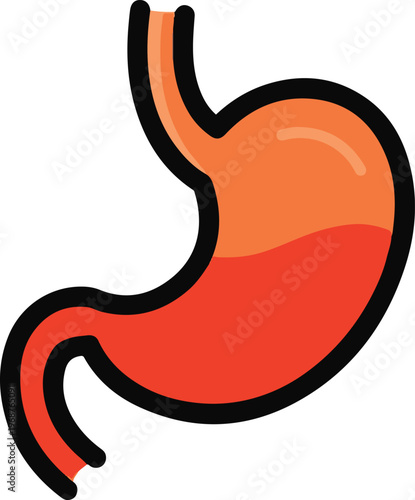 The stomach is filled with food and digestive juices internally.