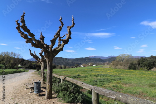 Spring landscape in the Llémena Valley, Catalonia: Nature, rural, fields, tradition and environmental tourism