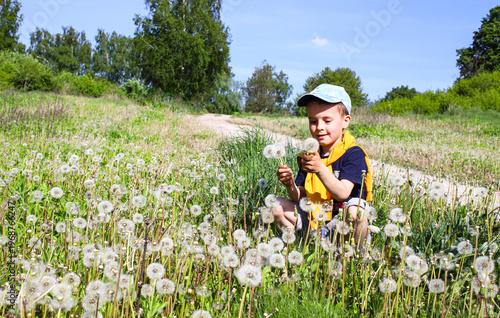 Little boy holding a bouquet of dandelion parachutes - happy child with wildflowers, spring mood, childhood and carefree nature.