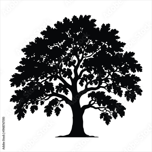 A large tree with a thick trunk and many branches