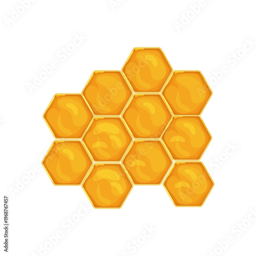 Natural Honeycomb Hexagon Pattern Vector Illustration