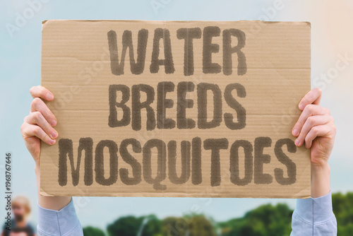 фотографія "Water Breeds Mosquitoes" Stagnant water is the primary breeding ground for disease-carrying mosquitoes