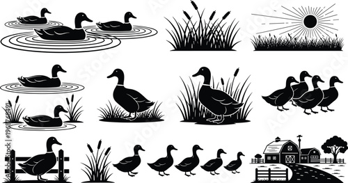 Duck silhouettes set, rural farm illustration, countryside animals, nature graphics, wildlife design, eco-friendly art, environment awareness, barn scene, pond life, landscape