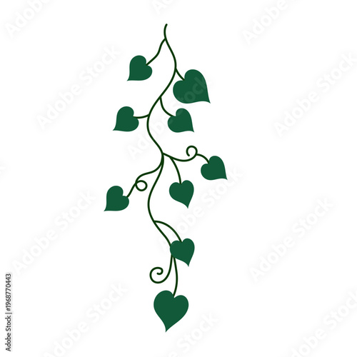 Heart-shaped Leaves on a Vine