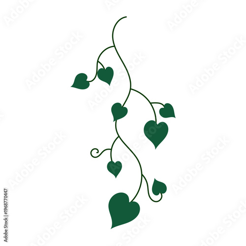 Green heart-shaped leaves hang from a vine.