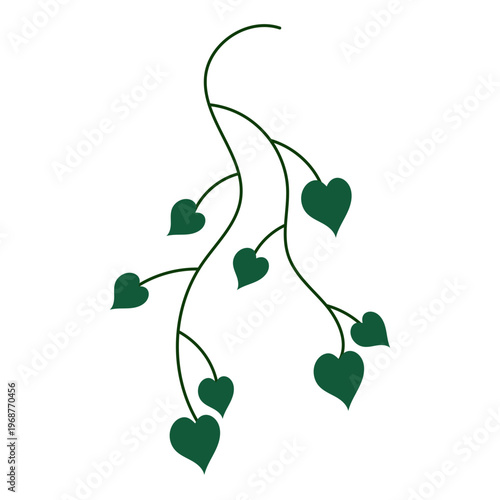 Green heart-shaped leaves on vine branches