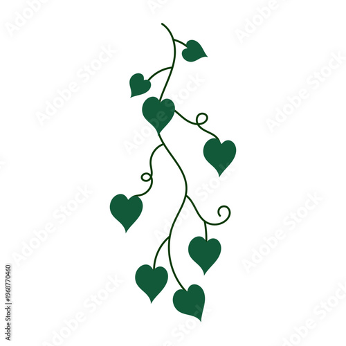 A heart-shaped leafy vine with green leaves grows naturally outdoors