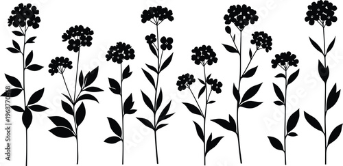 Flowering plant silhouettes, botanical illustration, nature design, leaf cluster art, floral vector, eco graphics, plant morphology, minimalist botanical artwork