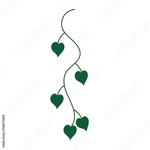 Green heart-shaped leaves hang from a vine.