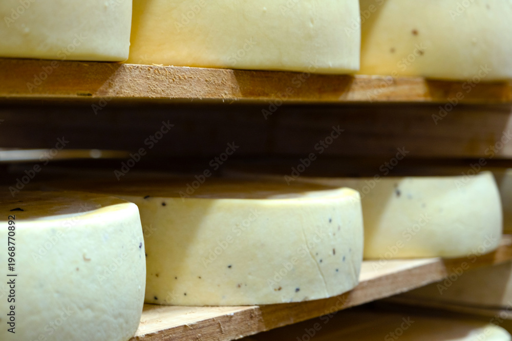 Fototapeta premium Macro of ripened cheese wheels, visible aged rind, organic cheese farm, premium variety, seasonal maturing, traditional craft dairy production.
