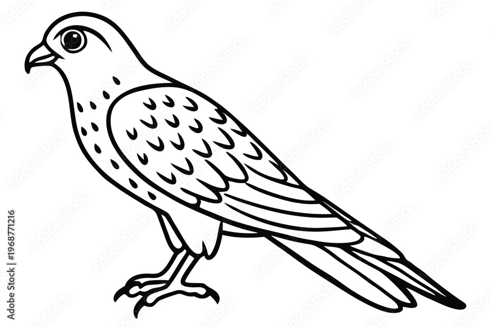 Fototapeta premium kestrel bird silhouette line art vector illustration with a white background