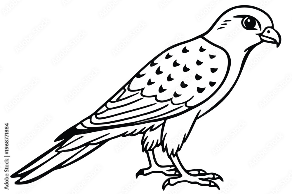 Fototapeta premium kestrel bird silhouette line art vector illustration with a white background
