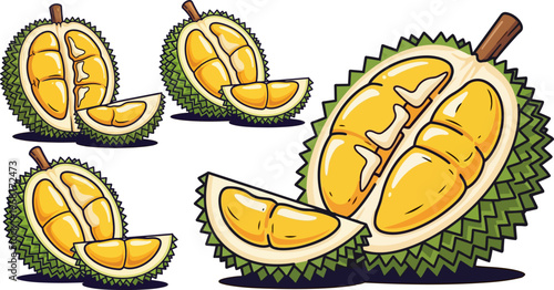 Durian fruit, tropical, vector icons, green spiky exterior, yellow flesh