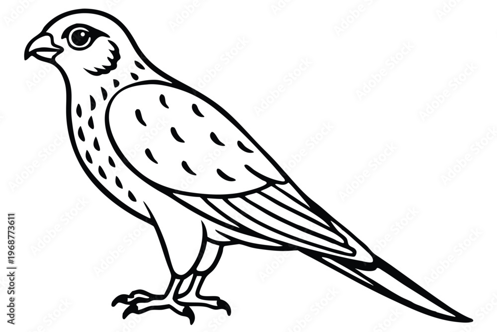 Obraz premium kestrel bird silhouette line art vector illustration with a white background