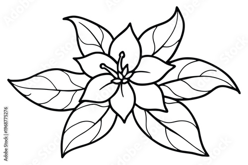 jasmine flower silhouette line art vector illustration with a white background