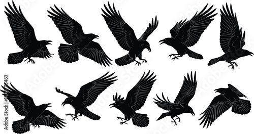Raven silhouette illustration, flying bird poses, black crow artwork, dynamic feather motion, spooky Halloween design, wildlife flight pattern art