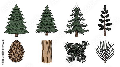 Collection of hand-drawn evergreen trees, pinecones, bark, and needles