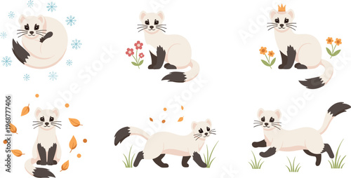 Flat vector illustration set of cute ermines and stoats in various poses featuring seasonal themes with snowflakes autumn leaves spring flowers and a royal crown