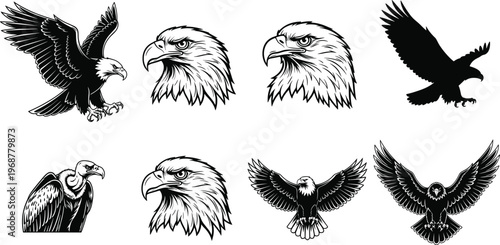 Detailed eagle and vulture illustrations set featuring bald eagle heads, soaring silhouettes, majestic flight poses, and predatory bird mascot vector icons.