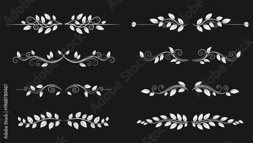 Set of elegant white decorative dividers with leaf and vine patterns on a dark background for design projects.