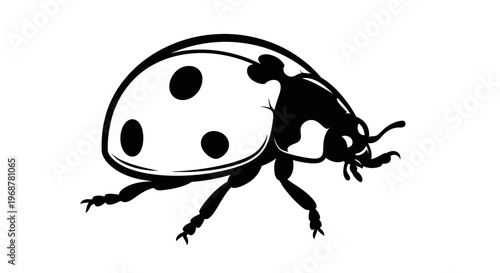 A bold black silhouette of a ladybug with distinct spots crawls across a stark white background in a minimalist line-art style.