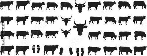 Black silhouette collection of diverse cows and bulls in various poses with cattle heads and human footprints isolated on white background for agriculture livestock illustration.