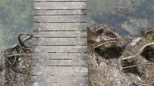 Aerial drone footage tilting from wooden pier to calm forest lake and natural shoreline landscape
