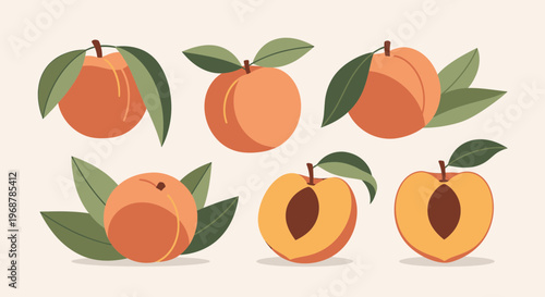 Fresh Peaches Collection: Whole and Halved Fruits with Leaves, Flat Design