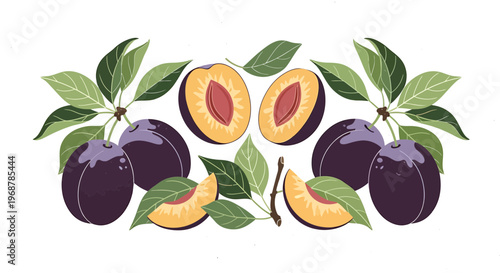 Fresh Plums with Leaves and Slices, Ripe Fruit Illustration