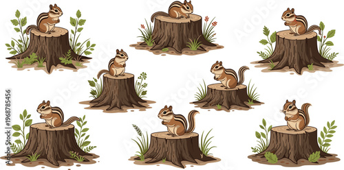 Chipmunk on tree stump illustration collection with forest plants, cute woodland animals and nature scenes vector design set