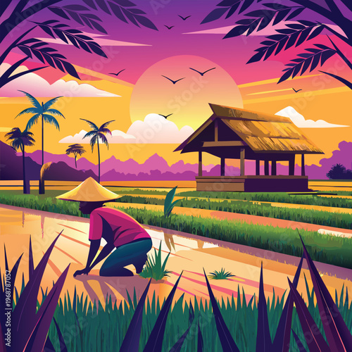 Tropical rice field, farmer at sunset, colorful vector landscape, agricultural scenery